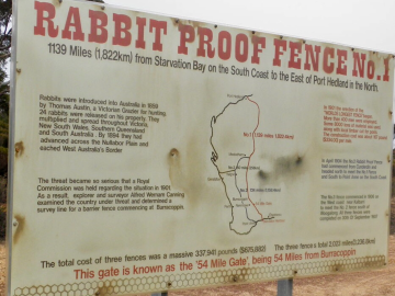 Rabbit Proof Fence gate 54