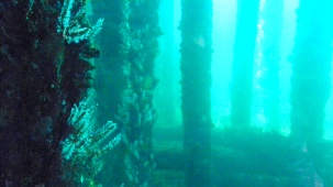 Busselton Jetty Underwater Observatory