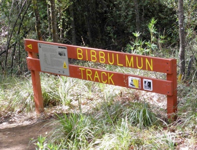 Bibbulmun Track at Beedelup Falls