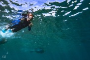 Ningaloo Reef Dive Coral Bay