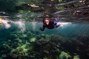 Ningaloo Reef Dive Coral Bay