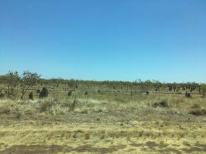 On the road NT to Qld
